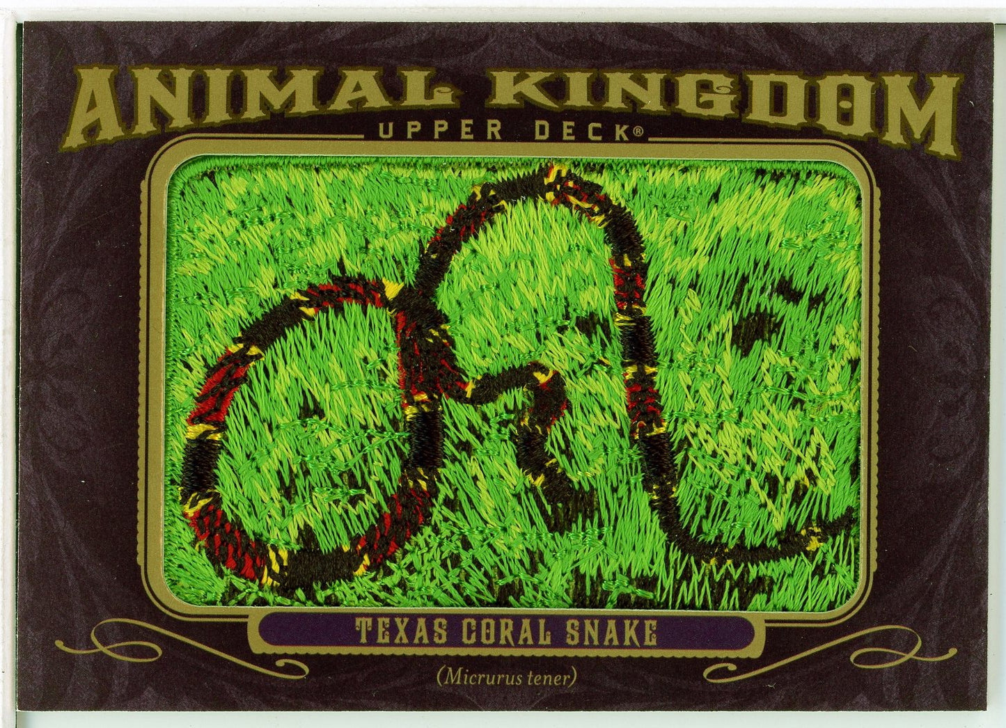 2012 Upper Deck Goodwin Champions Texas Coral Snake Animal Kingdom Patches